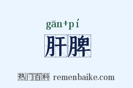 肝脾是什么意思的图片